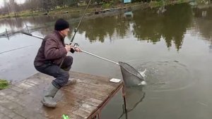 Светлые Горы Форель10 02.11.2025г.