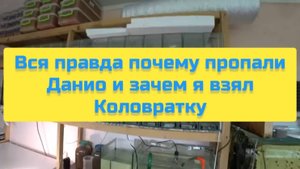 ВСЯ ПРАВДА ПОЧЕМУ ПРОПАЛИ МАЛЬКИ ДАНИО И ЗАЧЕМ Я ВЗЯЛ КОЛОВРАТКУ