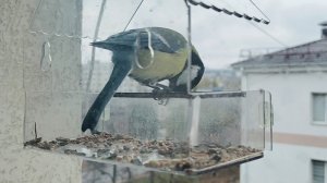 синечка пулемётчица!!!