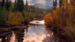 4 ноября - Магическая точка дня. Это важно успеть до полуночи.