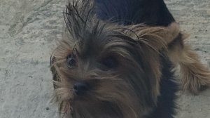 я в игровой зоне ель-1 часть.