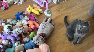 Обзор мягких игрушек. Чебурашка, милые пони, медведи, щенячий патруль, басики