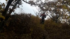 Мотопрохват-лисиченко 2025   Мыс