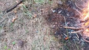 #как вкусно лес и лето