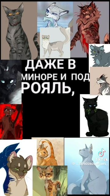 🥰🥰🥰🥰🥰🥰🥰🥰🥰🥰🥰