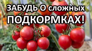 Обзор 6 УДОБРЕНИЙ, от которых ВЗРЫВ урожая! Личный опыт