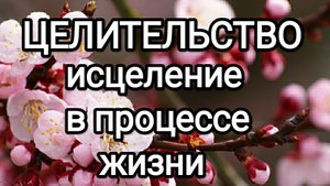 Исцеление в процессе жизни! #илларион