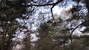 Ключевая ставка ЦБ, мошенничество в мире денег и другое. Новости в мире финансов и экономики