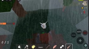 спасаю коалу kid