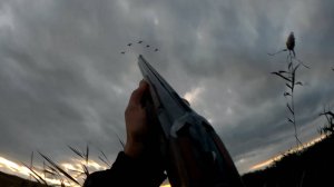 ОХОТА НА УТКУ. Утка летит, а я тсрелять разучился...