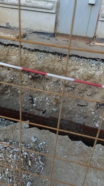 №309. Двор П. Осипенко 48. 6 апреля 2025 г., 10:08:18. VID_20250406_100651524