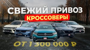 ЦЕНЫ НИЖЕ, ЧЕМ ГОД НАЗАД🔥 КУРСЫ ПАДАЮТ‼️RAV4🔥 CX-5🔥 SORENTO🔥KORANDO🔥T-CROSS
