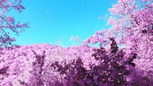 Волшебное утро - музыка для отдыха и хорошего настроения