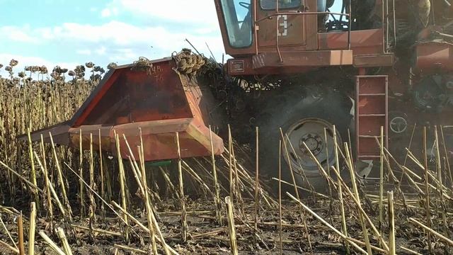 РВАНУ В ДЕРЕВНЮ