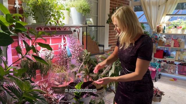 Обзор веранды. Как организовано отопление, как строили, кто на ней живет