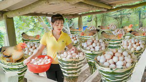 Плету корзинки для кур несушек. Продаю свежие куриные яица на местном рынке. Жизнь во Вьетнаме