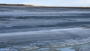 "НьургуЬун" кэрэ сибэкки.