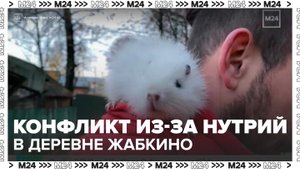В подмосковной деревне Жабкино произошел конфликт из-за нутрий - Москва 24