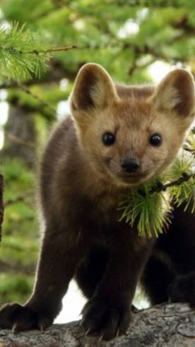 Всё, считай, что я сварился ..!😆☺