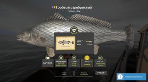 НОВЫЕ РАЗДАЧИ ТРОФОВ НА АХТУБЕ, МОРЕ, ФАРМ НА ЯНТАРНОМ МЕДНОМ ОЗЕРЕ В РУССКОЙ РЫБАЛКЕ 4 РР4