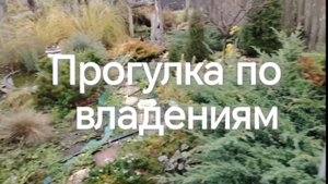 Прогулка по саду и теплице!