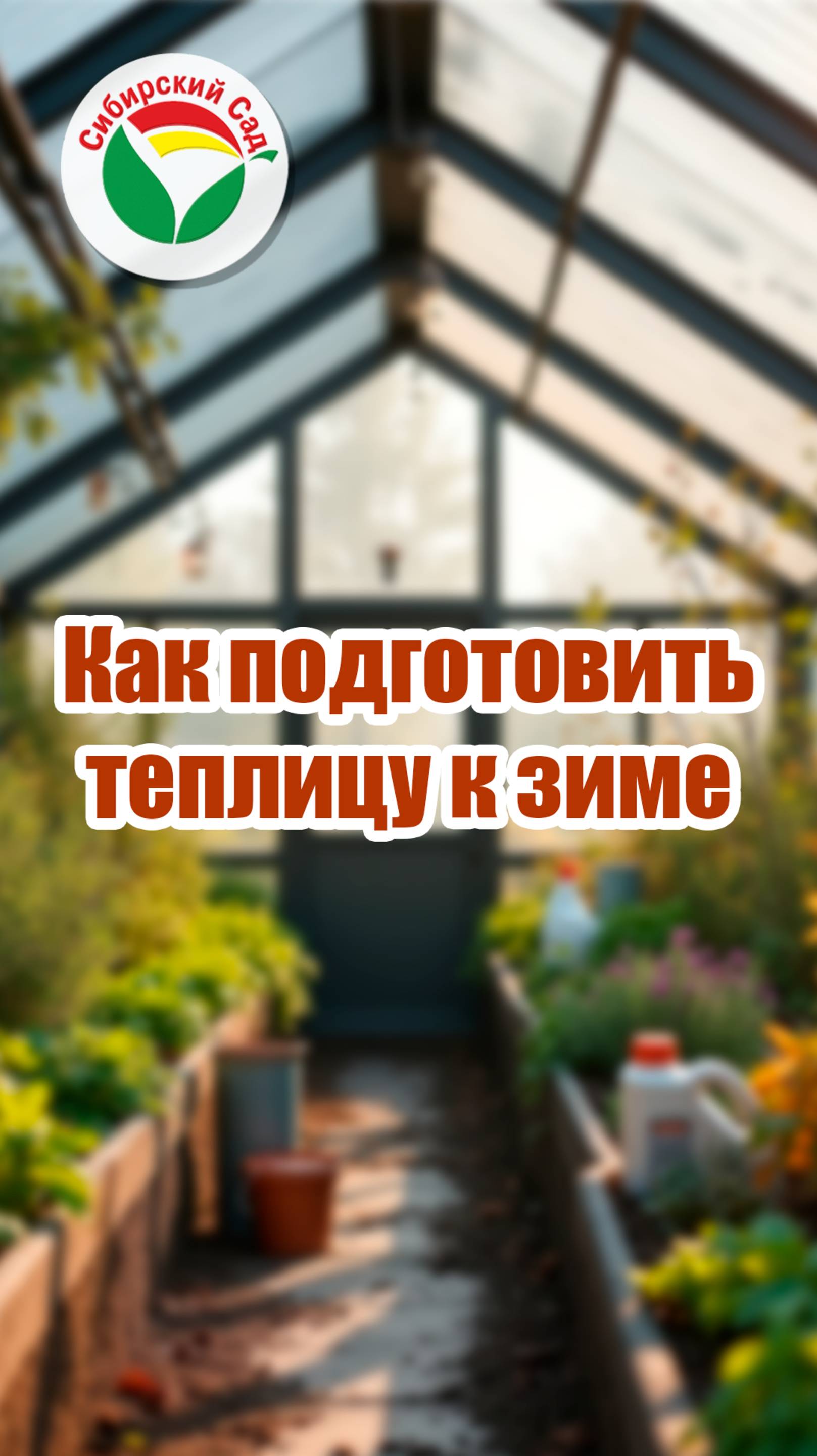 Как подготовить теплицу к зиме