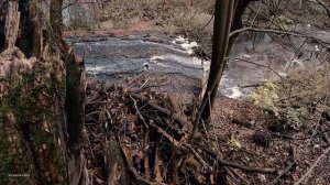 ДА УСПОКОЙСЯ ТЫ...