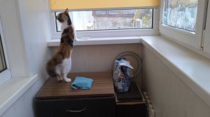 Встречный для вас вопрос..