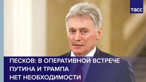 Песков: в оперативной встрече Путина и Трампа нет необходимости