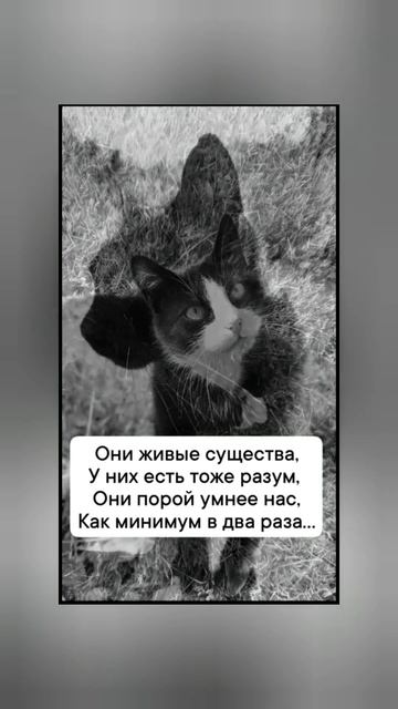 Нетрудно покормить зверей...