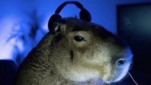 Выживание в маинкрафт:3(чат читаю)