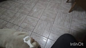 27 я Октября. Холодно..🥶Прикрепили светильники.