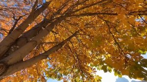 Знаки от судьбы. Ответ небес на 2 ноября.