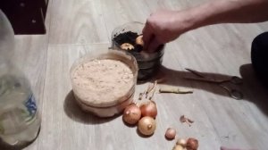 лук на зелень опилки или грунт