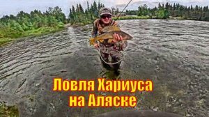 Ловля Хариуса на Аляске