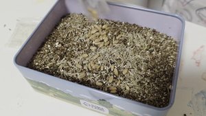 Мини-сад синий трактор