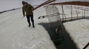 Рыбалка на фитили на севере. Первый налим зимнего сезона.