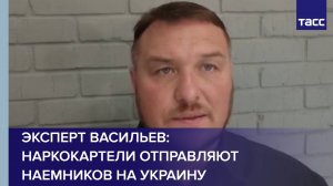 Эксперт Васильев: наркокартели отправляют наемников на Украину
