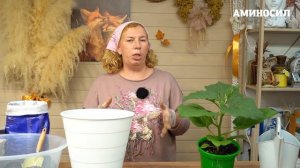 🍆 Баклажаны дома — это просто!