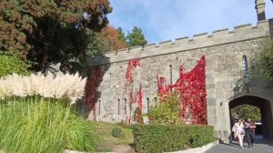 Воронцовский дворец, водопады и скала Айвазовского в Алупке. Отдых в Крыму-2025