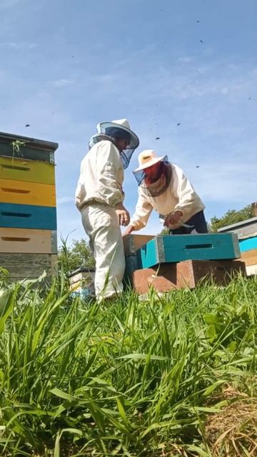 Жихаревы.mp4