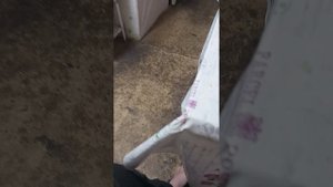 пробуем еду часть 1