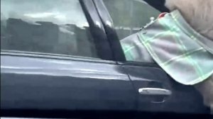 Интересный пассажир смотрит из окна