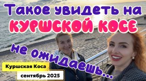 Вечер на КУРШСКОЙ КОСЕ // Закат мечты + НЕВЕРОЯТНОЕ происшествие 😳 Романтика или КОНФУЗ❓