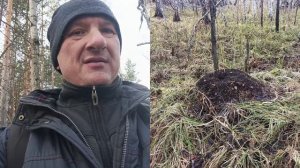 Осенний поход в лес.