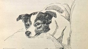 «Тоска по родине». Рассказ З. Анисимовой.