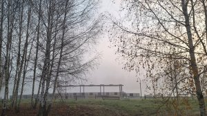 ✨☀Утро оно всегда доброе!😉🍂 Не смотря на туман.🍂💛🍂Такая тишина, умиротворение, спокойствие..