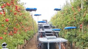 Посмотри Что Бывает! Кадры, в Которые Трудно Поверить