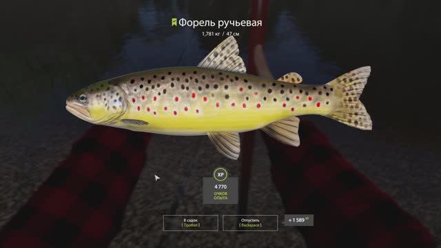 РУССКАЯ РЫБАЛКА 4. РЫБАЛКА ДЛЯ ДУШИ !!! СНОВА РЕКА БЕЛАЯ.