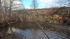 ПРОВЕРКА РЕЧКИ ЛЮЛЯ